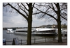 Moby Dick, Tegeler See, Greenwichpromenade Berlin