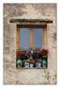 Blumenfenster in der Camargue