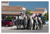 Gardians reiten mit ihren Camarguepferden V-f&ouml;rmig durch die Stadt.