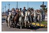 Gardians mit Camarguepferden in le Grau du Roi