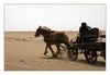 Pferdekutsche am Strand Napoleon
