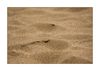 Sand (-Strand)