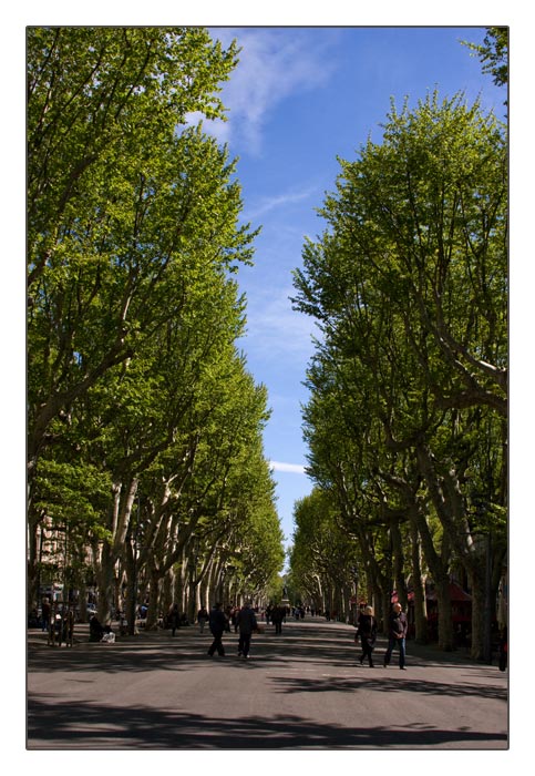 All&eacute;e Paul Riquet, Beziers