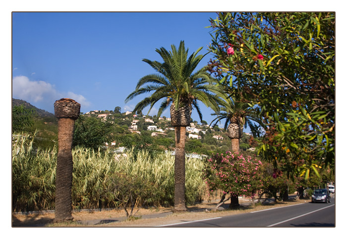 Landschaft bei Le Lavandou - Plage de Cavali&egrave;re