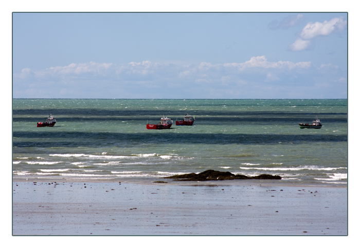 Austern- und Muschelfischerboote, Pirou Plage, Halbinsel Cotentin