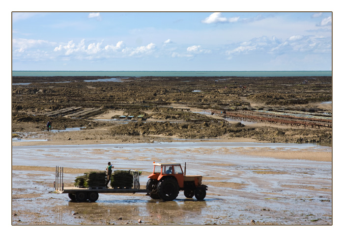 Schlepper und Austernzuchtbänke, Agon-Coutainville, Halbinsel Cotentin