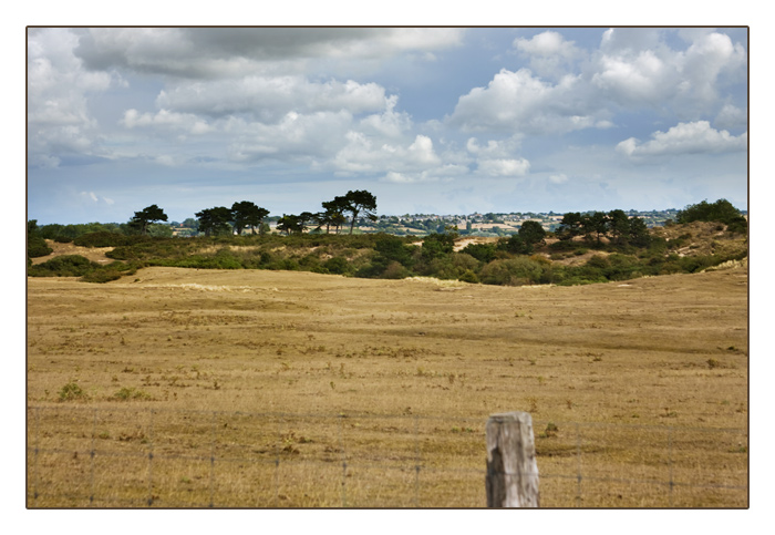 Landschaft bei Agon-Coutainville, Halbinsel Cotentin,
