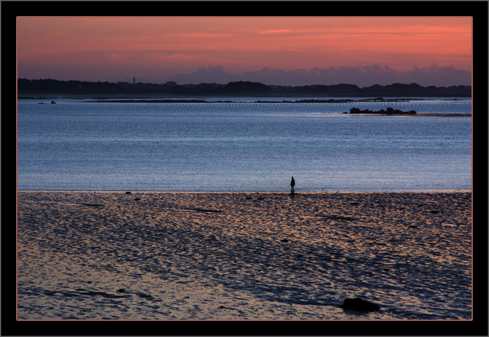 Spaziergänger im Sonnenuntergang bei Ebbe, Plage de Sainte-Marguerite, Landéda