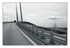 Seinebrücke bei Le Havre (sw), Pont de Normandie, Seine-Maritime, Haute-Normandie