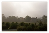 Morgennebel, Englesqueville la Percée, Calvados, Normandie