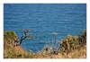 Steilküste, Pointe du Hoc, Calvados, Normandie