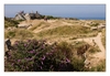 Bombentrichter, Gedenkstätte Pointe du Hoc, Calvados, Normandie