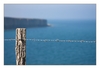 Stacheldraht an Steilküste, Gedenkstätte Pointe du Hoc, Calvados, Normandie