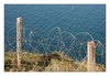 Stacheldraht an Steilküste, Gedenkstätte Pointe du Hoc, Calvados, Normandie