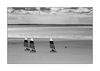 Strandsegeln (sw), Le Rozel, Halbinsel Cotentin, Manche, Normandie