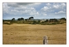Landschaft bei Agon-Coutainville, Halbinsel Cotentin, Manche, Normandie