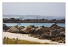 Felsbrocken am Strand, Algenfischer-Dorf Meneham, Ménez Ham bei Kerlouan, Finistère, Bretagne