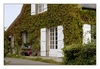 Haus mit wildem Weinlaub-Fassade, Camaret-sur-Mer, Halbinsel Crozon, Finistère, Bretagne