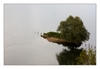 kleine Insel in der Loire, Maine-et-Loire, Pays de la Loire