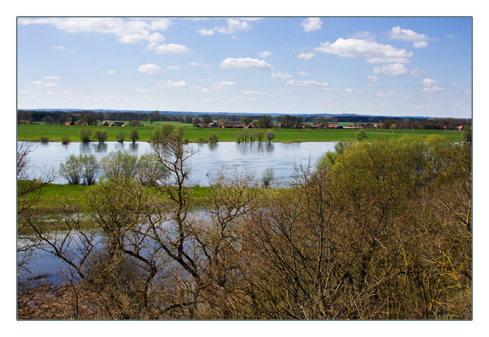 die Elbauen bei Rüterberg