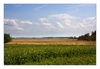 Landschaft am Kap Arkona, Insel Rügen