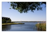 Blick auf den Zierker See, Neustrelitz