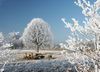 Winteridylle