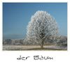 Baum im Winter mit Raureif