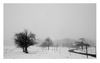 Nebel im Wiestal zwischen Jesingen und Ohmden