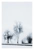 Nebel im Wiestal zwischen Jesingen und Ohmden