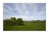 Landschaft bei Weilheim/Teck