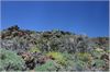 die Gegend um den Pico del Teide