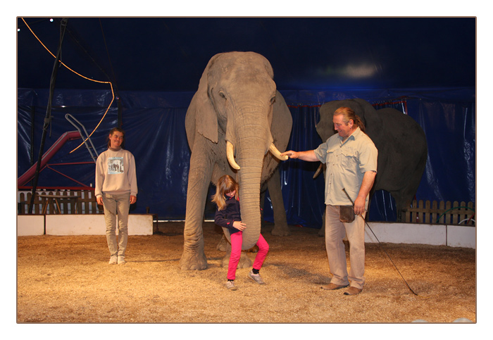 auch Kinder werden bei der Vorführung in der Manege miteinbezogen