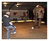 Fussballspiel mit einem Elefant