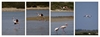 landender Flamingo