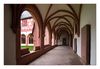 Kreuzgang Kloster Eberbach, Eltville (Rheingau)